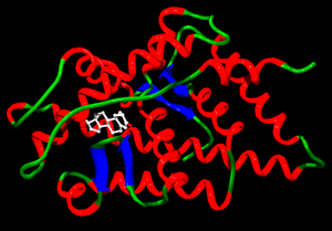 Dianabol uses