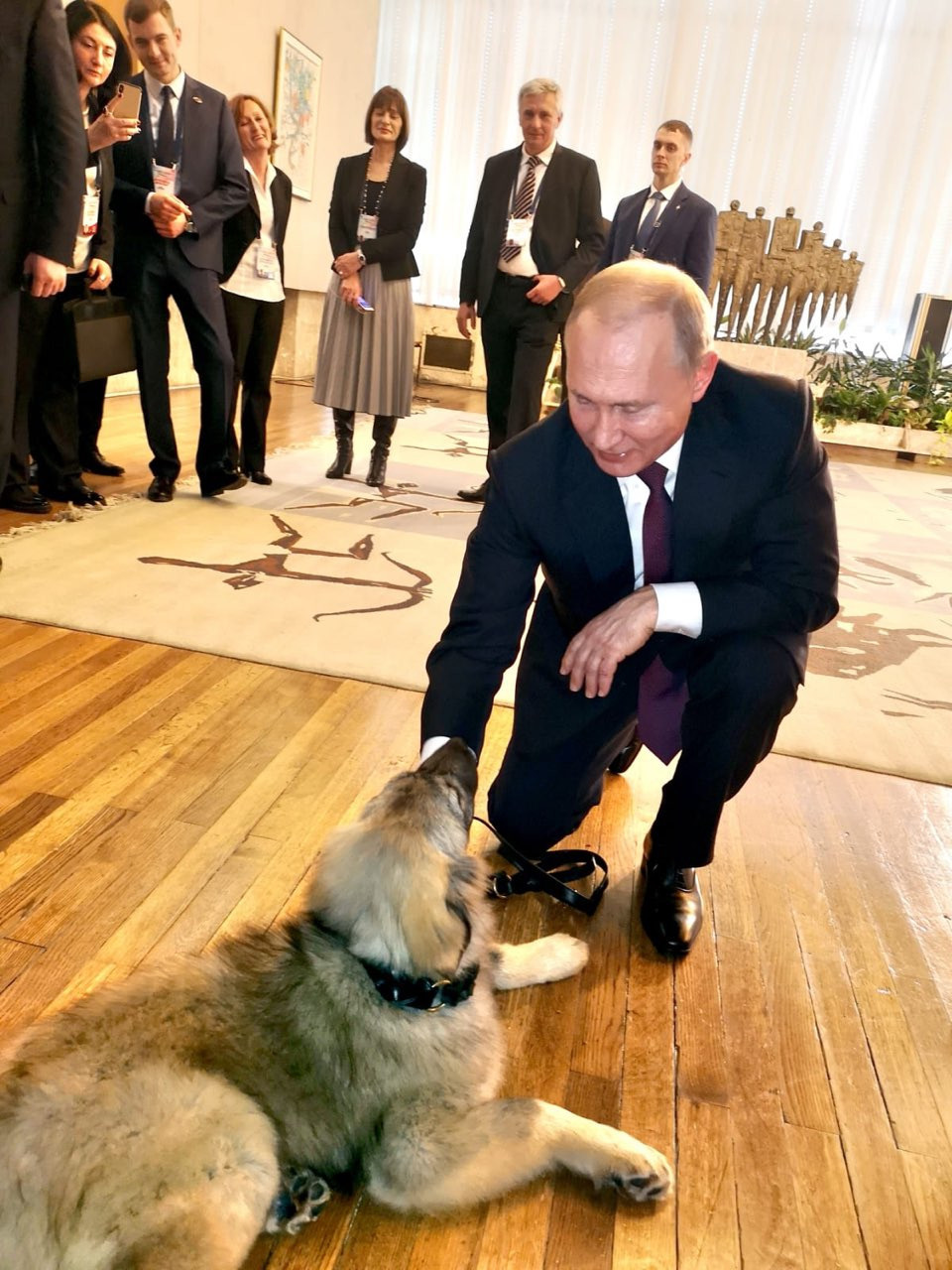 Шарпланинская овчарка Паша Путина