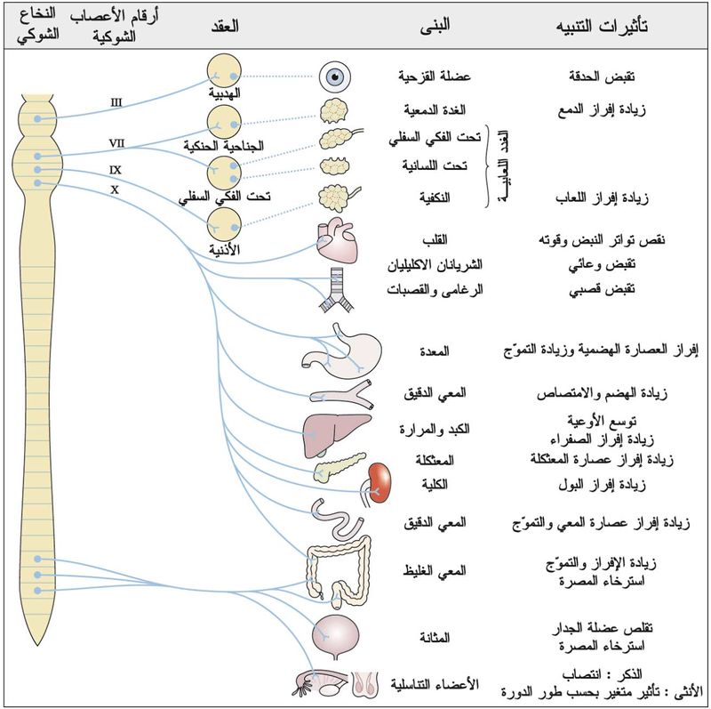 ( اي من التالي ليس مركب )