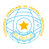 Shirt badge/Association crest