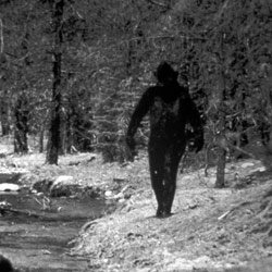 Top10 phenomena bigfoot.jpg