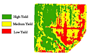 Graphic of a LIDAR return, featuring different crop yield rates.