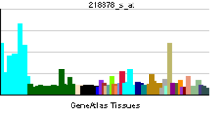 PBB GE SIRT1 218878 s at tn.png