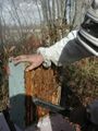 Using a blower to remove bees from honey super prior to removal to honey house