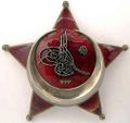 Gallipoli Star badge - J.H. Werner