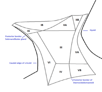 Cervical lymph node groups.png