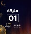 تصغير للنسخة بتاريخ 01:51، 23 فبراير 2022