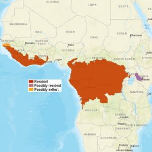 AfricanGoldenCat distribution.jpg
