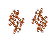 2hyw: Human Annexin A2 with Calcium bound