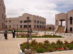 جامعة ذمار