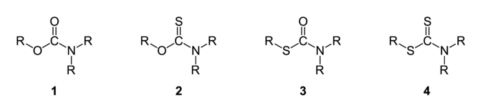 Carbamates-thiocarbamates-dithiocarbamates-general-2D.png