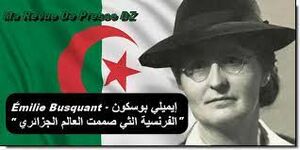 علم الجزائر بتصميم إيميلي بوسكان.jpg