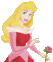 Princess Aurora.gif