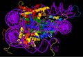 Nucleosome core particle 1EQZ v.4.jpg