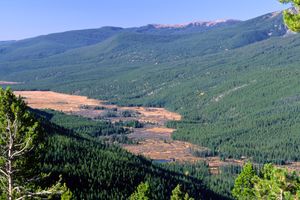 View of a marshy valley surrounded by forested mountains