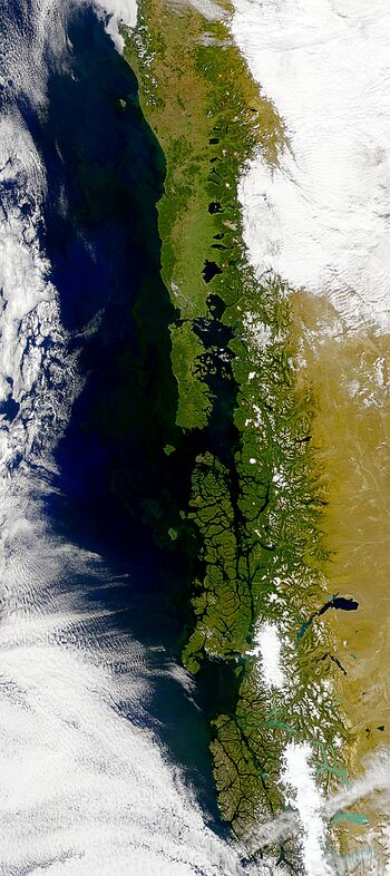 Chilean coastal blooms.JPG