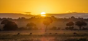 Maasai Mara scenery