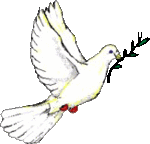 Peace dove.gif