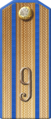Ivanogorodsky 99th infantry regiment