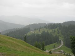 Mestecăniș Pass