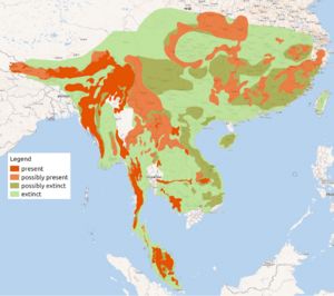 Clouded Leopard distribution.png