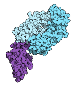 Nivolumab 5GGR.png