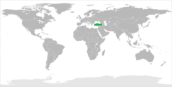 Map indicating locations of Turkey and Qatar