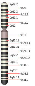 Chromosome 9.svg