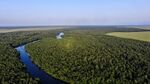 Forest and river from above