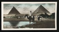 Káhira - pyramidy, kolorovaná fotografie