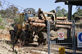 A loader with a specialized claw used to move logs at a sawmill