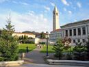 Berkeley glade afternoon.jpg