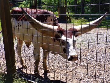 At a zoo