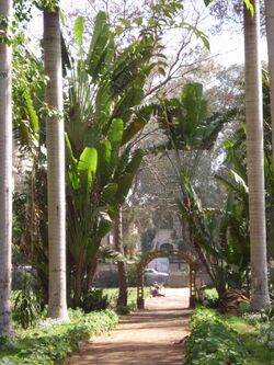 Orman garden - Cairo By Hatem Moushir 11.JPG