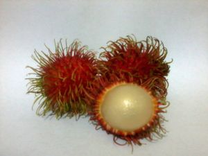 Rambutan in white bg.jpeg