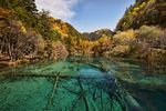 1 jiuzhaigou valley wu hua hai 2011b.jpg