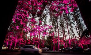 Lighting of street trees