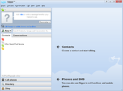 Skype 4 in Default View running on Windows XP