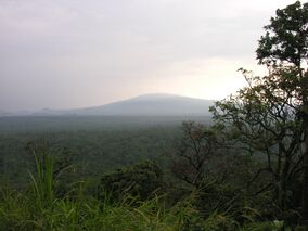 Virunga National Park-107997.jpg