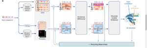 Model architecture. Arrows show the information flow among the various components described in this paper. Array shapes are shown in parentheses with s, number of sequences (Nseq in the main text); r, number of residues (Nres in the main text); c, number of channels.