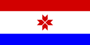 Flag of Mordovia (20 May 2008)