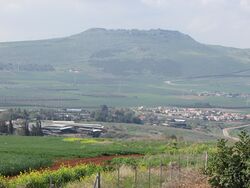 Arbel2185.JPG