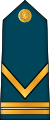 06.AlgAF-SGM.svg