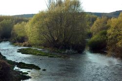 Union del Rio Omaña y Rio Luna.JPG