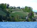 Zürichsee - Erlenbach IMG 2207.JPG