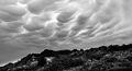 Mammatocumulus in Cap de Creus, Girona, Spain. Electric atmosphere. June 2014