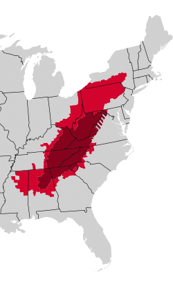 Red and dark red counties form the Appalachian Regional Commission; dark red and dark red striped counties form traditional Appalachia.[1]
