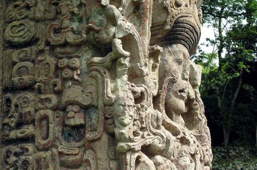 Intricately carved portrait of a human face looking to the right, seen almost in profile against a background of trees. The face is surrounded by highly ornate interlocking designs.