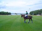 Horse and Horse - Polo turnir (Brijuni) - panoramio.jpg