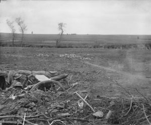 Two soldiers operate a field gun from a dug-in position in an open field and reinforced with sandbags. Entrenching tools, spoil and broken vegetation lie around the emplacement, while a number of defoiliated trees stand in the middle distance.